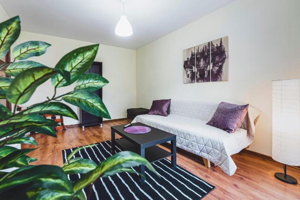 Apartament Niecala Queens Superior ลูบลิน ภายนอก รูปภาพ